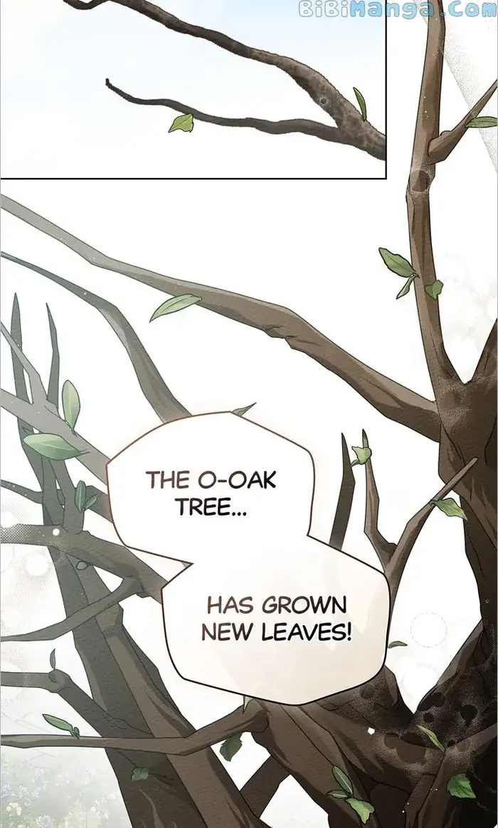 Under the Oak Tree    Chapter 78 image 36_optimized